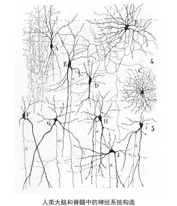 三张图读懂人工智能,一张图看懂人工智能图解