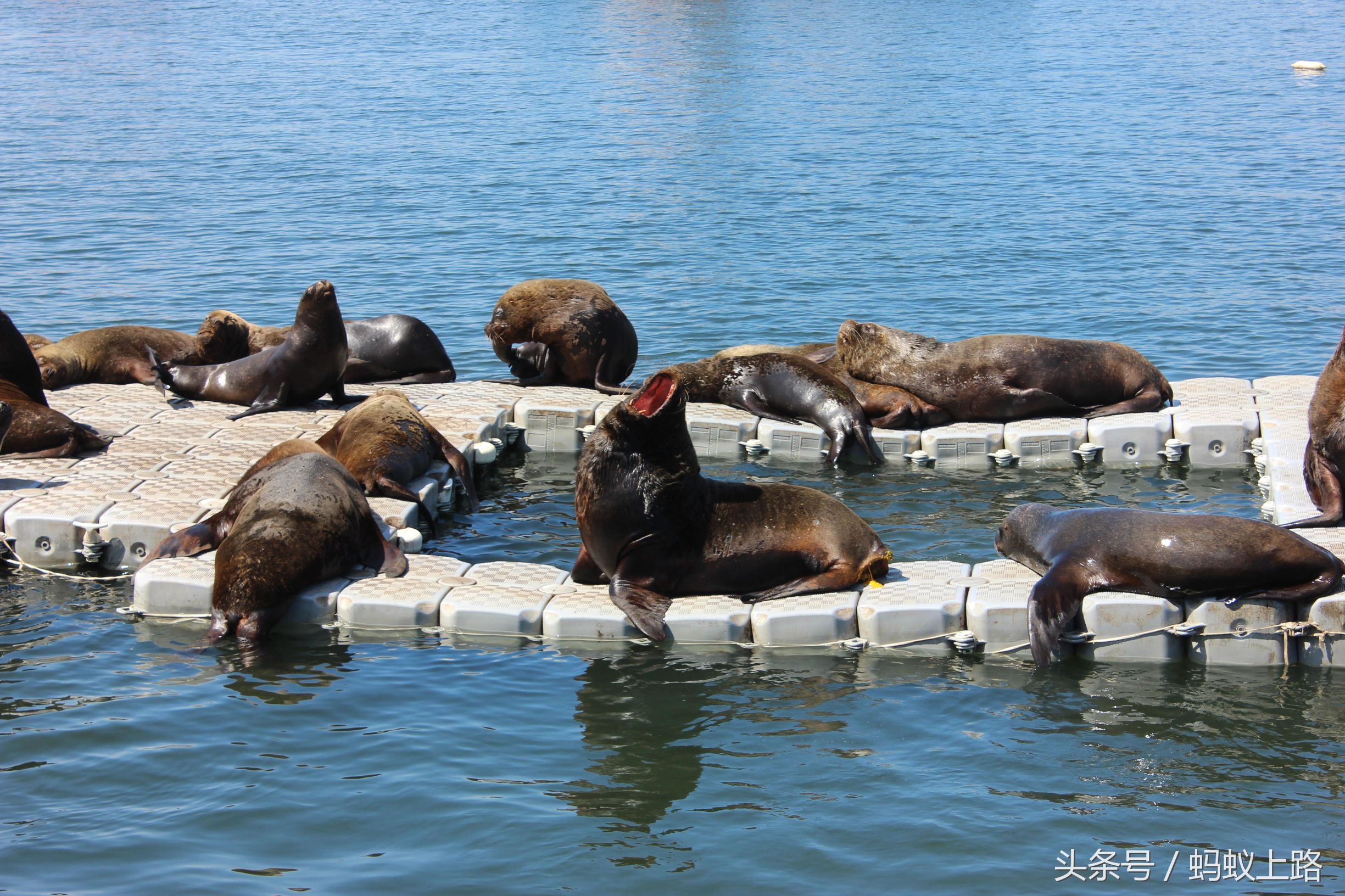 塔尔卡瓦诺智利军港图片,塔尔卡瓦诺城市