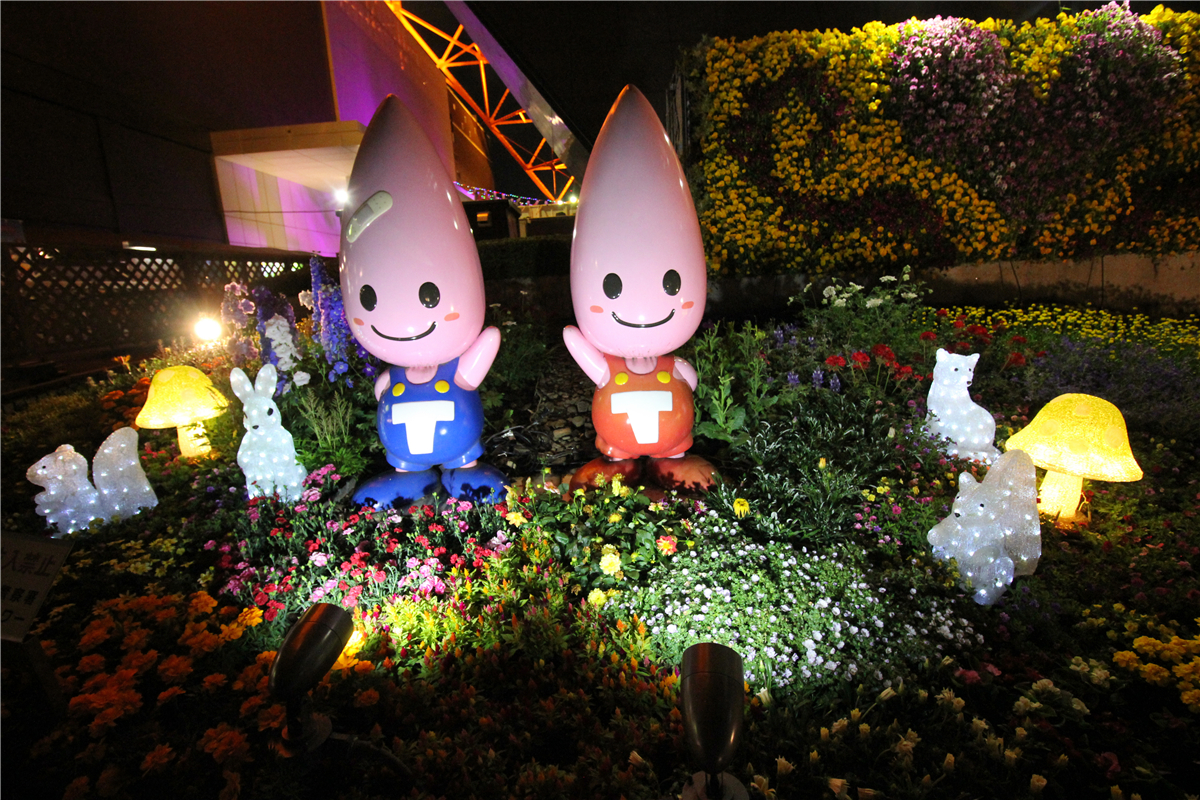 落英缤纷系列,落樱缤纷日本