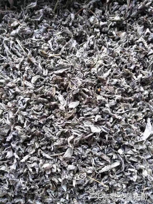 莓茶真相意外曝光,怎么区分野生莓茶真假图解