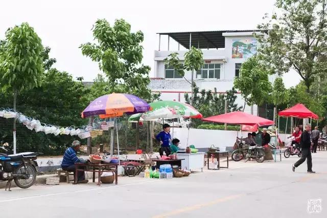 洛阳新安县樱桃采摘园,洛阳樱桃沟摘樱桃