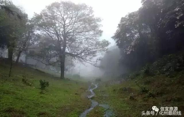 信宜旅游景点大全自驾游,信宜十大旅游景点大全