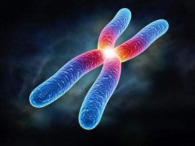 毛孔粗大怎么办用什么护肤品好,毛孔粗大怎样化妆才能遮住毛孔