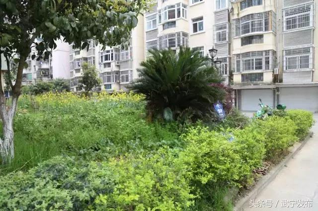 武宁战役,武宁最新重大项目