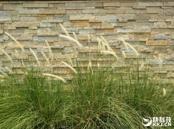 老外观看小米汽车之后的感受,老外赞叹中国美景反应视频