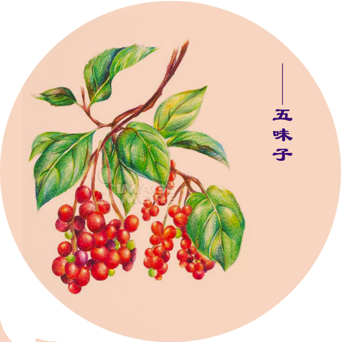 你肯定不知道中药还可以这么美