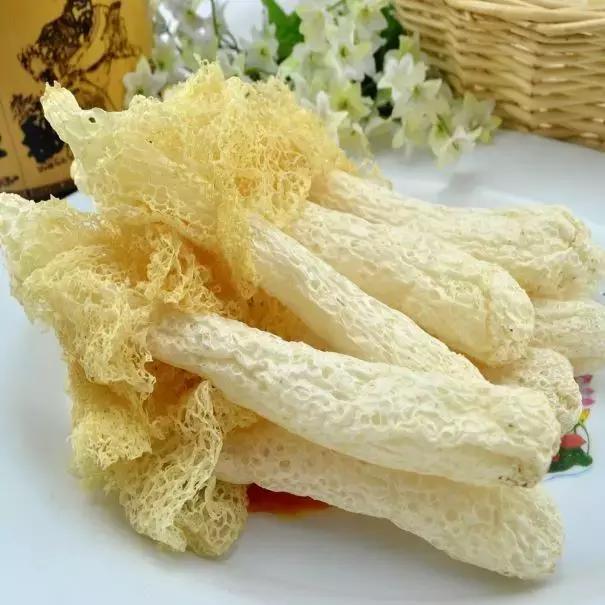 假如世界没有了人类世界会怎样,假如世界上没有元朝会怎样