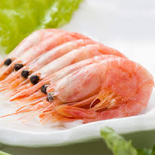 还敢骑皮皮虾？虾表示我们不是好惹的！