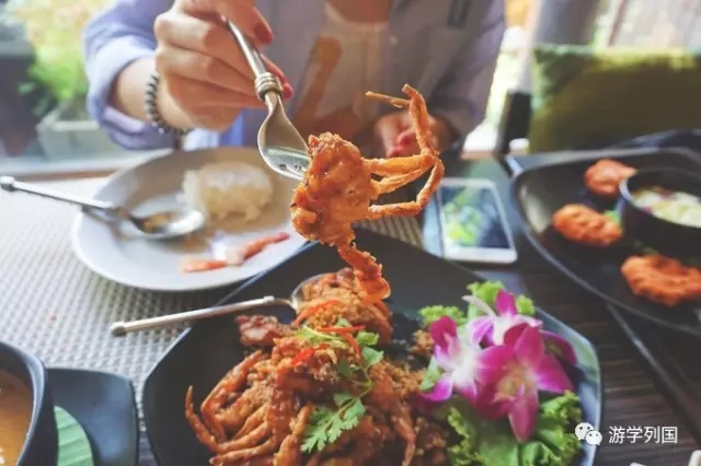 泰国旅行不一样的泰国风情,2024泰国游学之旅