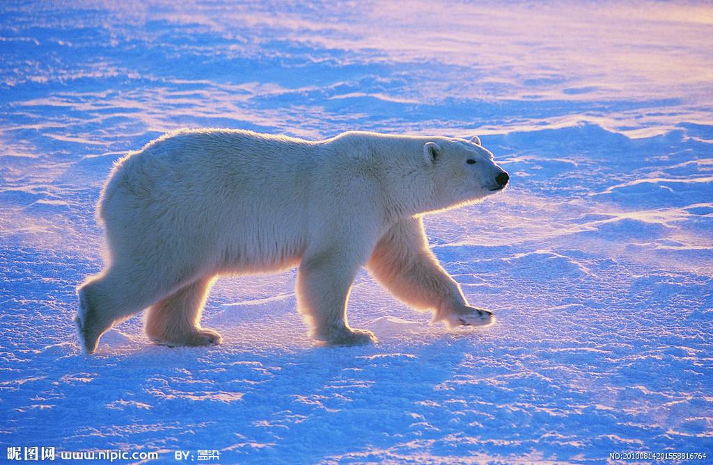 婊℃湀涓轰粈涔堢湅涓嶆竻缁嗚妭,婊℃湀鐪嬭捣鏉ヨ繕鏄槮鐦︾殑