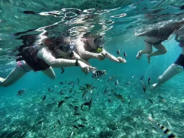 游绝美海岛沙巴,旅行海岛沙巴