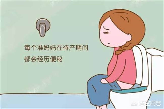 孕期为什么会胀气便秘,孕期便秘堵在洞口拉不出来