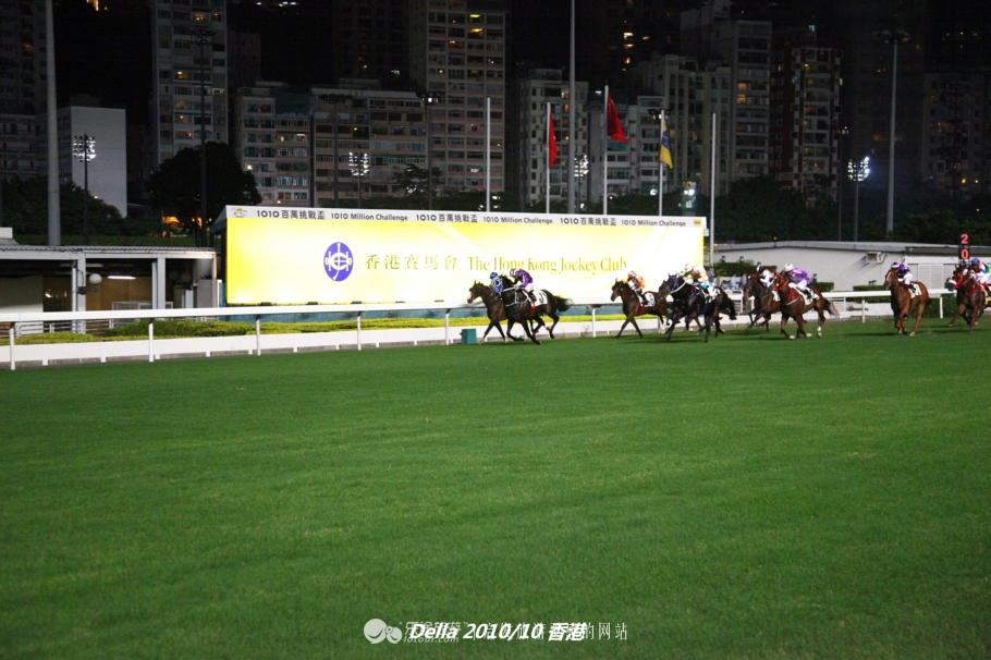 香港跑马地现场直击赛马