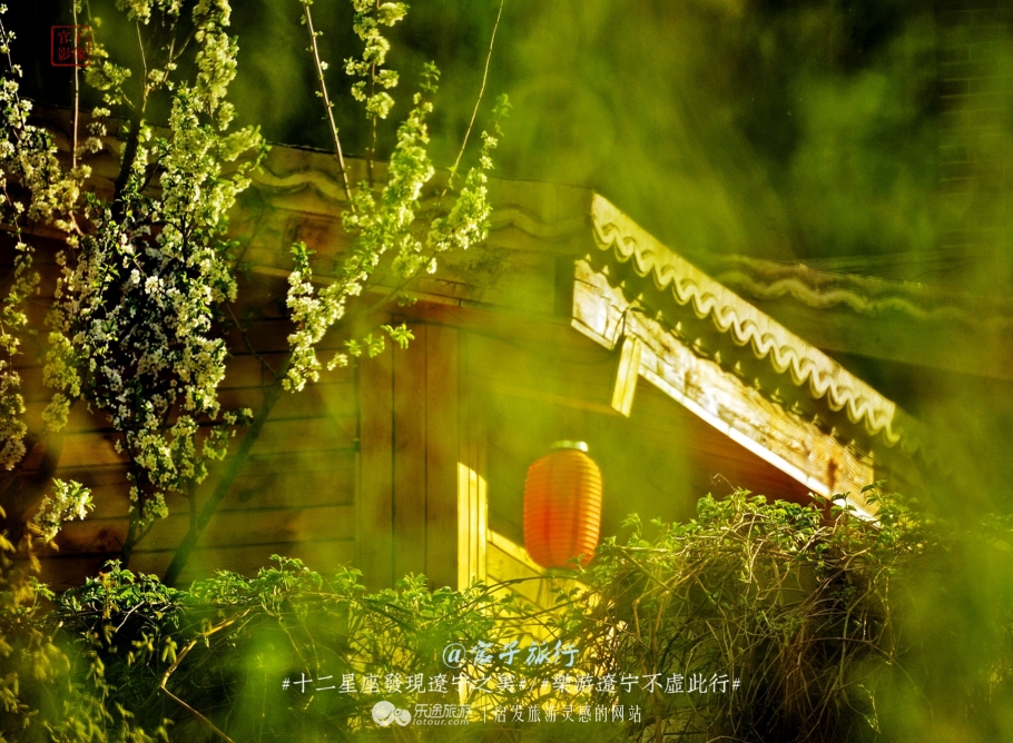 闾山四月梨花似海，源于大朝阳梨花老祖