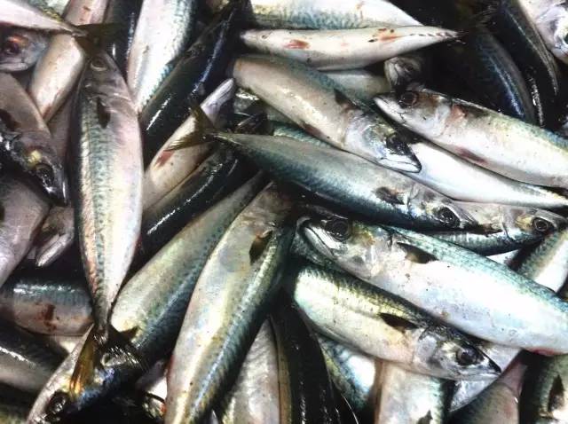 哈尔滨吃货，这8种你爱吃的海鲜全面禁售，活的冰鲜的统统不能卖