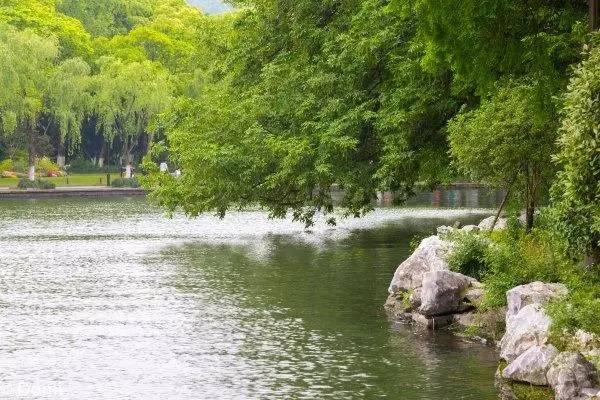 杭州g20峰会晚宴西子宾馆,g20峰会西子宾馆合影