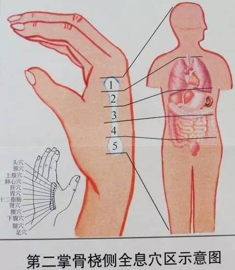 预防耳鸣吃什么药,耳鸣患者的预防保健