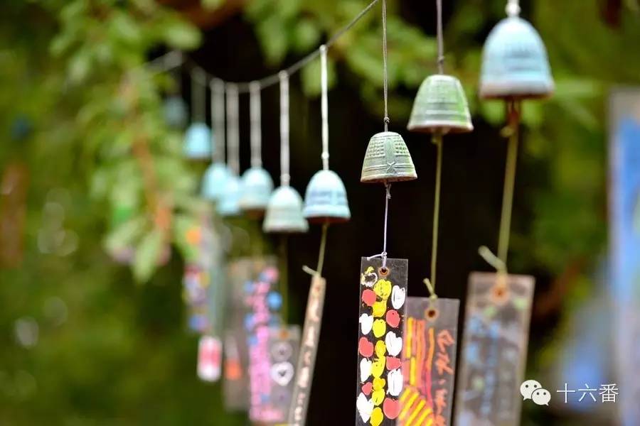 第二季你在旅行中买过哪些后悔的东西？