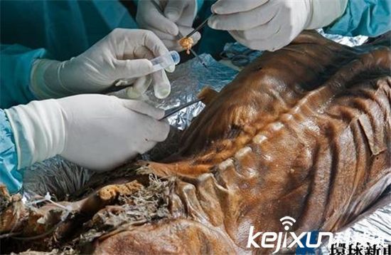 古人尸体防腐八大诀窍死后即时沐浴消毒