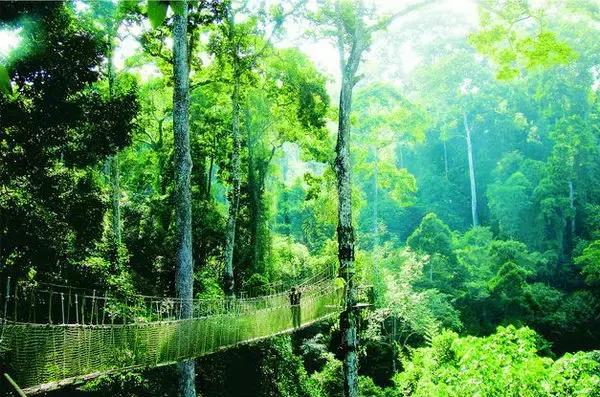 泼水节后，西双版纳该怎么玩，附防高温注意事项