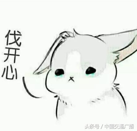 揭秘低价游,低价跟团游背后猫腻