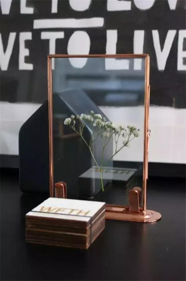 植物标本挂在墙上好看 (植物标本挂墙上)