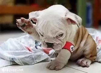 了解这些让胃癌离你远一点,了解这些可以让你少走弯路