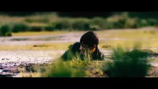 无可挑剔又值得一看的电影,颜值与剧情并存的电影