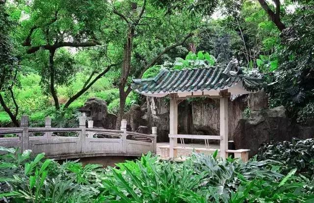 去过100次越秀公园，却不知旁边有个秘密花园！美爆了！