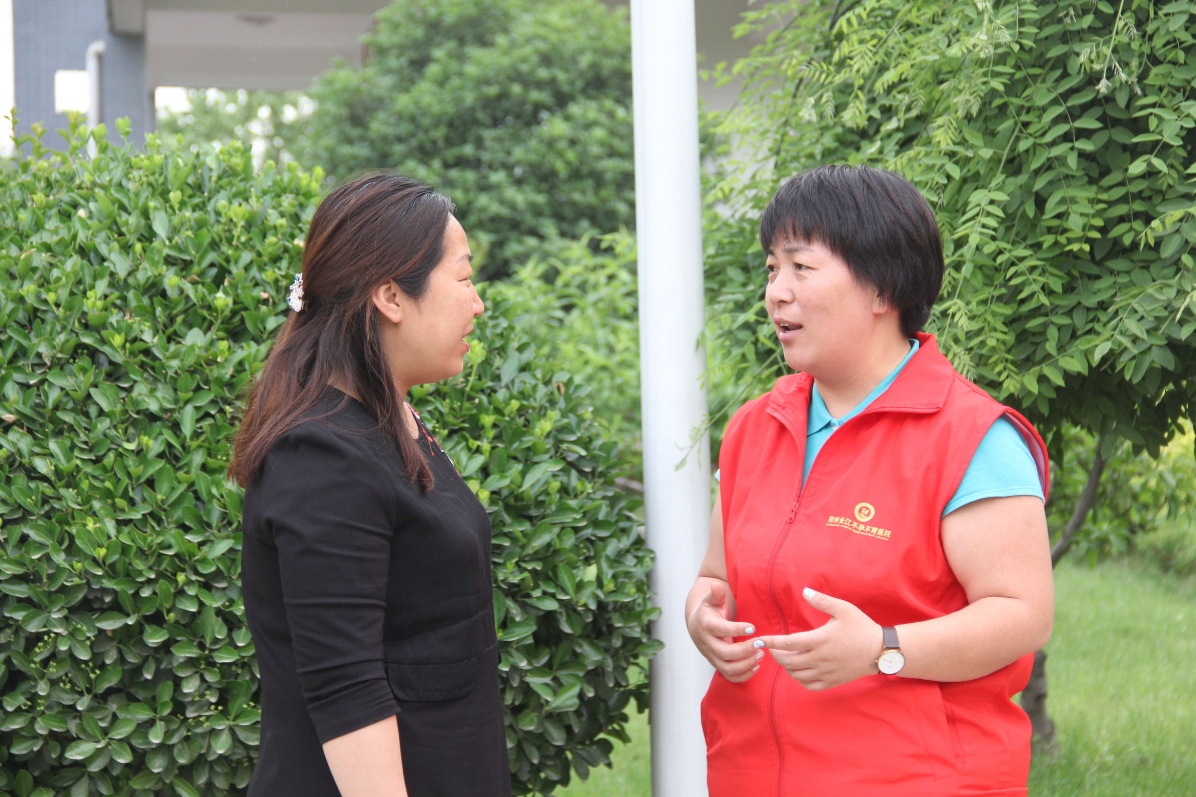 河南蒜薹最新消息,河南蒜薹滞销