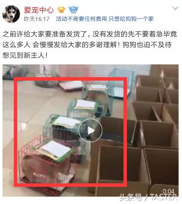 转发说说送小狗?集赞30送樱桃?又到夏天这群*子骗**又来了!