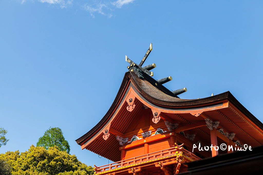 澳门航空空姐游东京 富士山下遇见最美的樱花