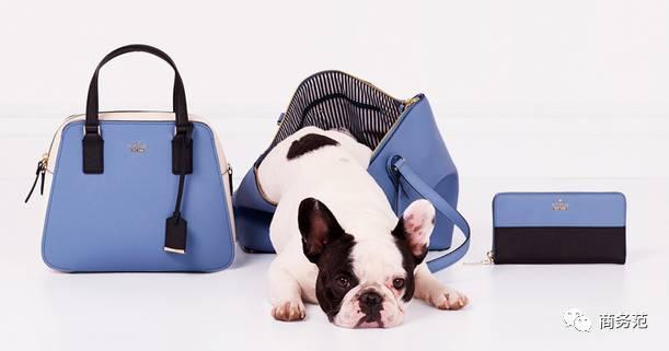 coach和mk,katespade与coach哪个档次高