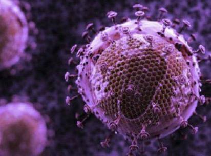 HIV如何攻击人体免疫系统？在体外存活时间为多久？