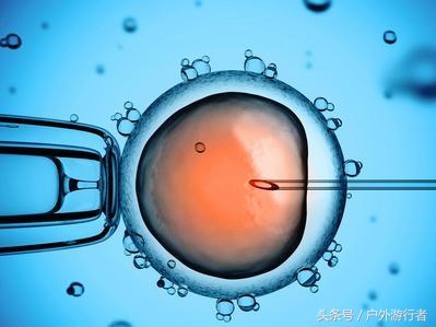 试管婴儿的亲身经历过程,宝妈自述三代试管成功经历