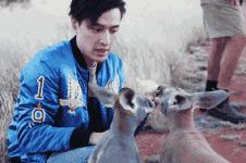 为什么从澳洲留学回来变白了,为什么去澳洲的朋友回来变胖