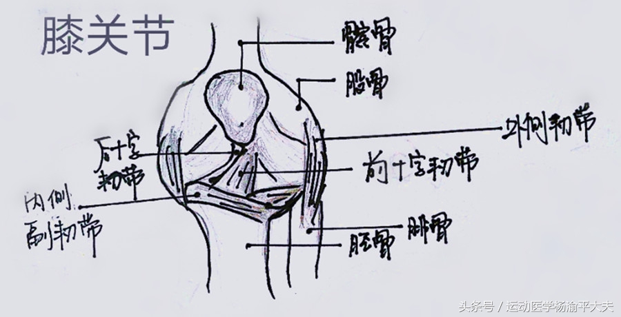 上下楼膝关节疼痛最好治疗方法,膝关节疼痛怎样上下楼能缓解疼痛