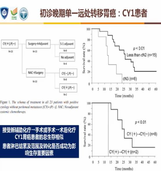 2023版csco胃癌诊疗指南分子检测,2024csco胃癌诊疗指南