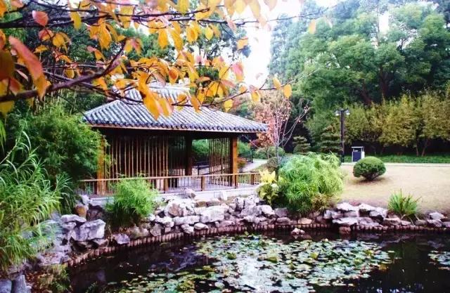 上海周边的绝美海岛,上海附近绝美海岛