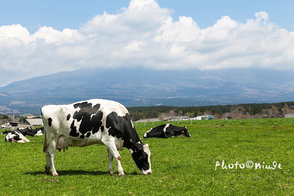 空姐在东京旅游,跟着游东京