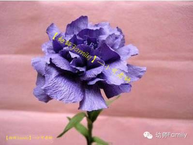 母亲节礼物手工康乃馨用卫生纸折,母亲节的康乃馨怎么做视频