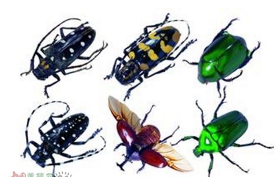 农村十大暴利小生意推荐,县城农村暴利小生意有哪些