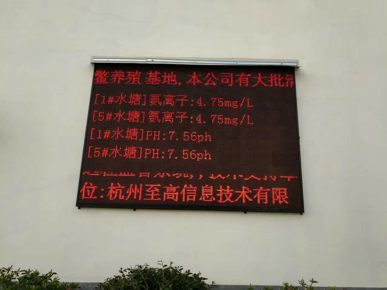 千岛湖甲鱼纯野生甲鱼,全国最大的甲鱼养殖基地在哪里