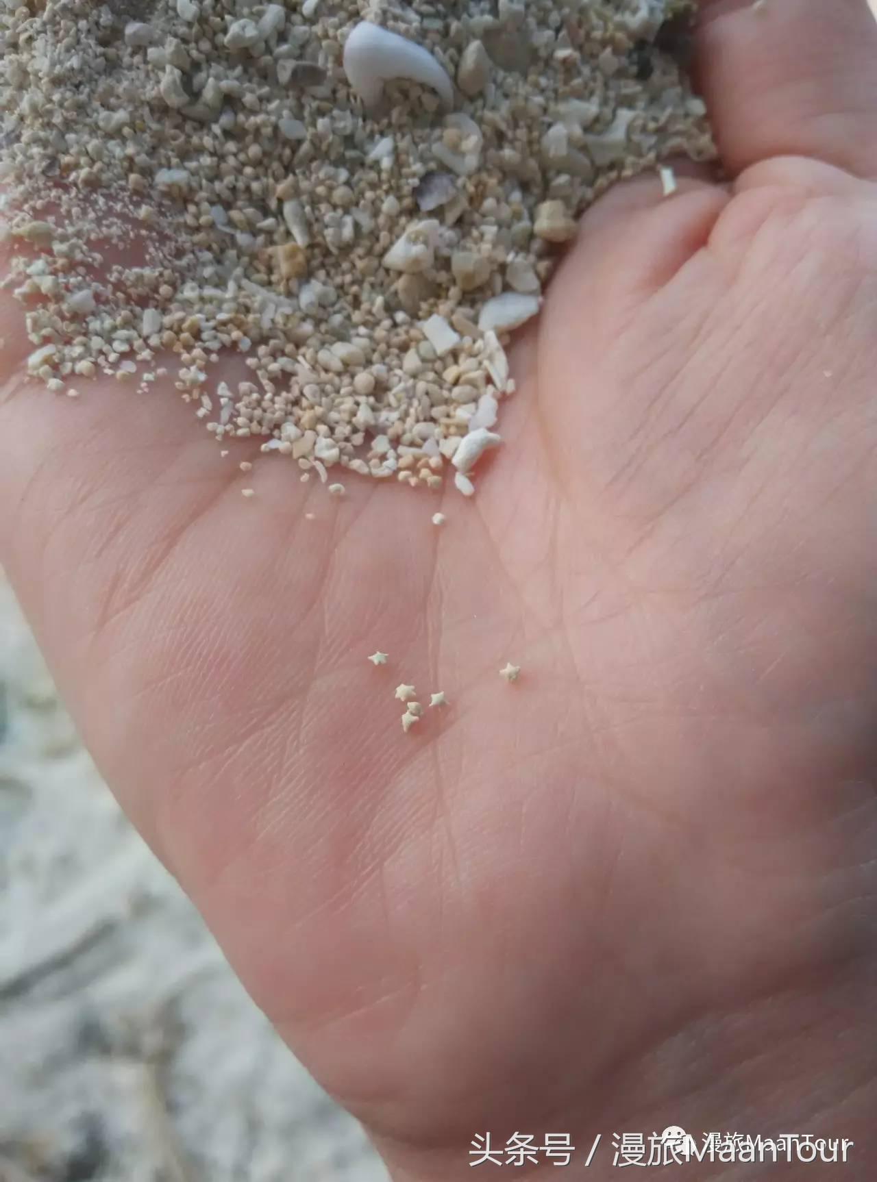 漫小Ni带你去日本浪：这才是日本冲绳的小众玩法