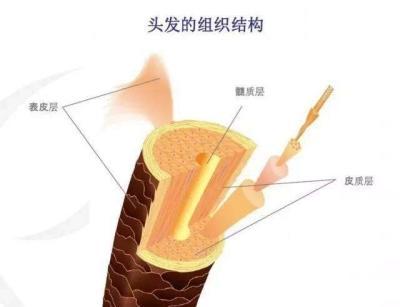 脱发男护理视频,脱发掉发护发秘籍
