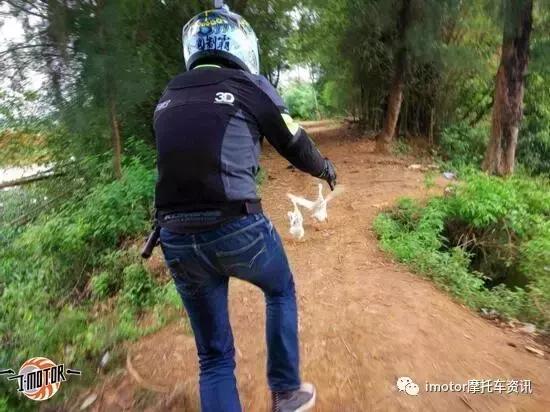 同安五羊本田迅鲨,五羊本田迅鲨爬坡