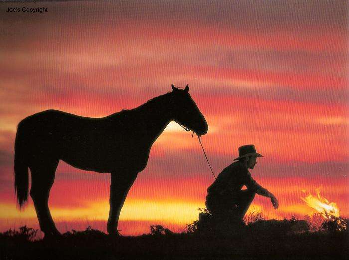 关于烟的故事,香烟的故事和感悟