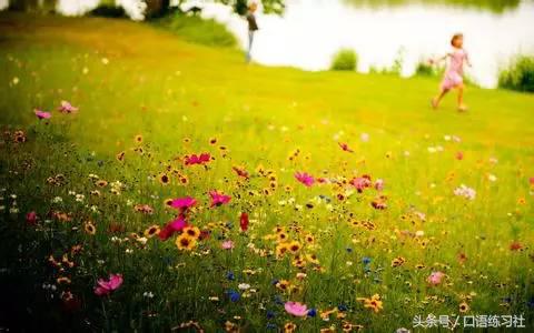 交通类英语短文,乘坐公共汽车英语短语