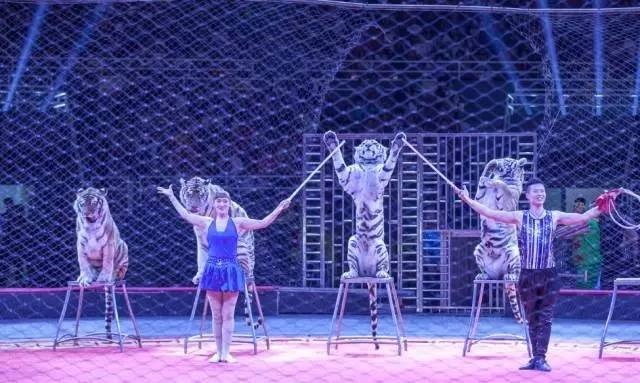 纳米水、负离子水、细胞破壁，解密“高科技”保健食品！