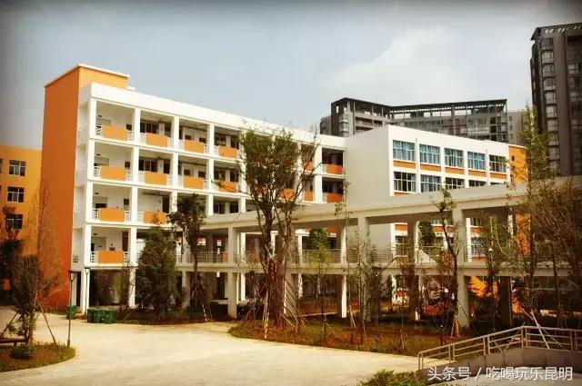 再见了龙狮城,再见了八年级